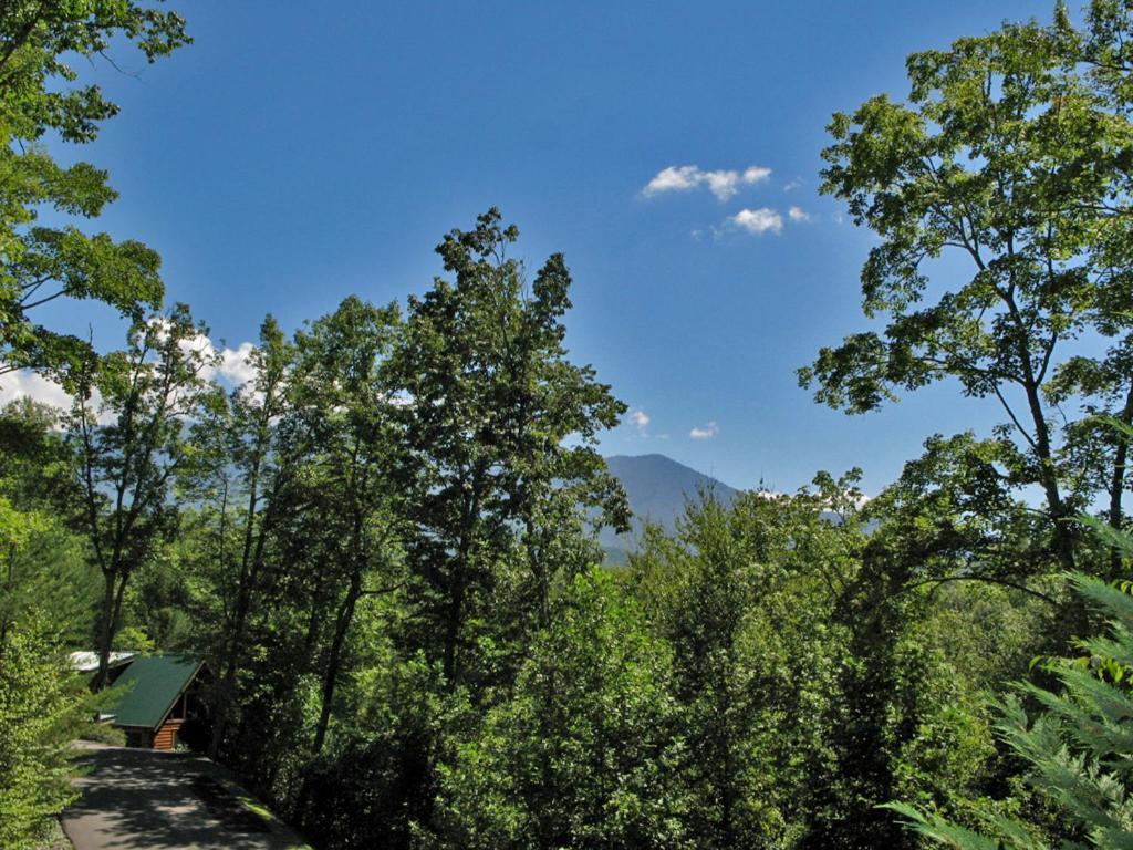 Bear'S Corner, 3 Bedrooms, Wifi, Pool Table, Hot Tub, Wifi, Sleeps 10 ガトリンバーグ エクステリア 写真